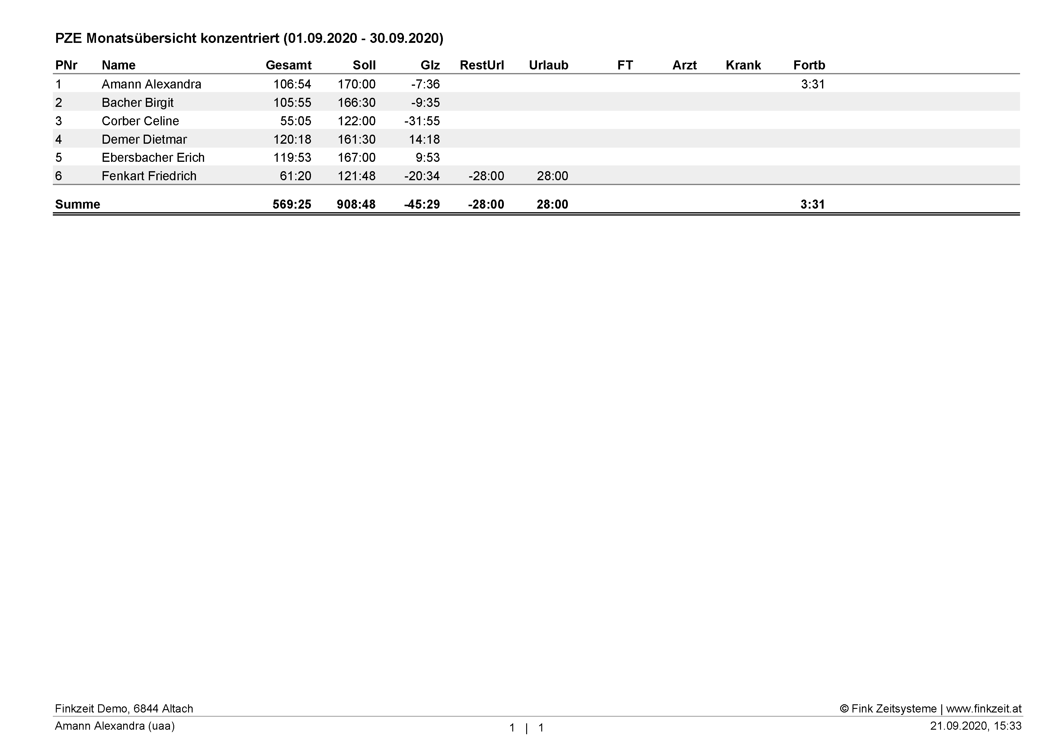 automatische_auswertungen_PZE_Monatsu_ebersicht_Summe
